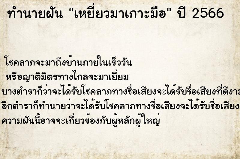 ทำนายฝัน เหยี่ยวมาเกาะมือ ทำนายฝัน เหยี่ยวมาเกาะมือ