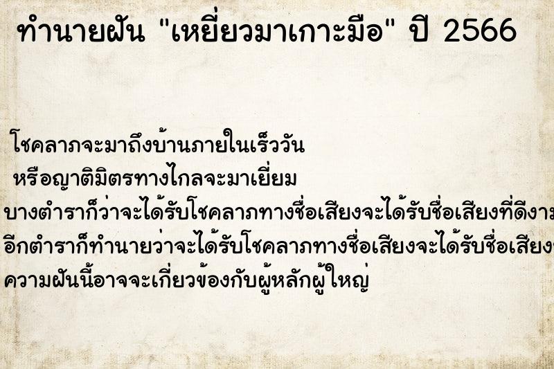 ทำนายฝัน เหยี่ยวมาเกาะมือ ตำราโบราณ แม่นที่สุดในโลก