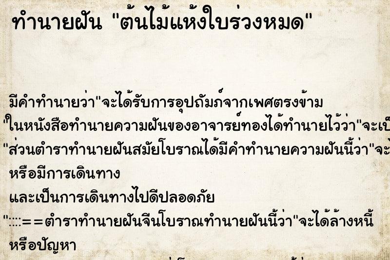ทำนายฝัน ต้นไม้แห้งใบร่วงหมด ทำนายฝัน ต้นไม้แห้งใบร่วงหมด