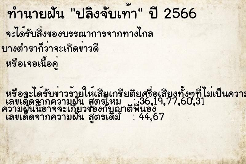 ทำนายฝัน ปลิงจับเท้า