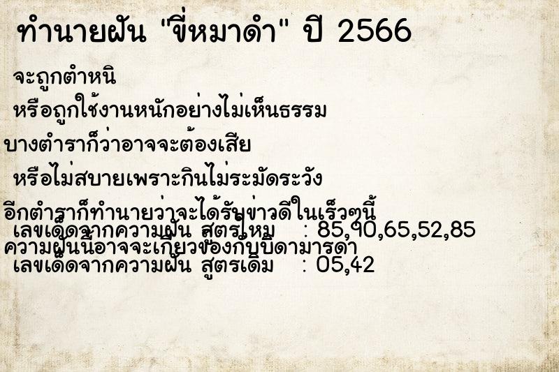 ทำนายฝันขี่หมาดำ ทำนายฝันทำนายฝันขี่หมาดำ