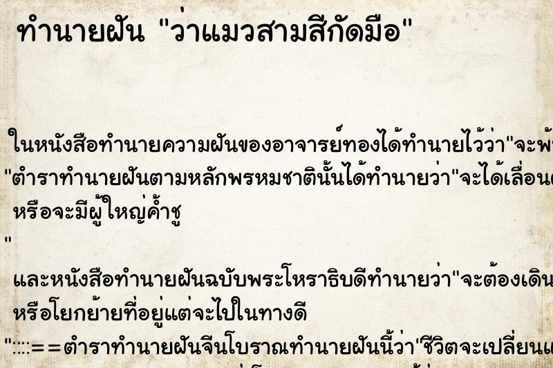 ทำนายฝัน ว่าแมวสามสีกัดมือ ทำนายฝัน ว่าแมวสามสีกัดมือ