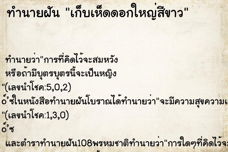 ทำนายฝันเก็บเห็ดดอกใหญ่สีขาว ทำนายฝันทำนายฝันเก็บเห็ดดอกใหญ่สีขาว