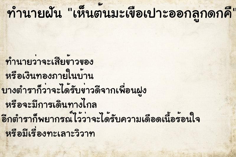 ทำนายฝัน เห็นต้นมะเขือเปาะออกลูกดกคื ทำนายฝัน เห็นต้นมะเขือเปาะออกลูกดกคื