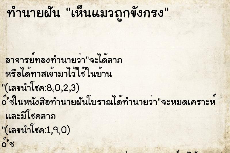 ทำนายฝันเห็นแมวถูกขังกรง ทำนายฝันทำนายฝันเห็นแมวถูกขังกรง