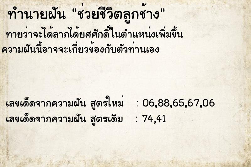 ทำนายฝันทำนายฝันช่วยชีวิตลูกช้าง