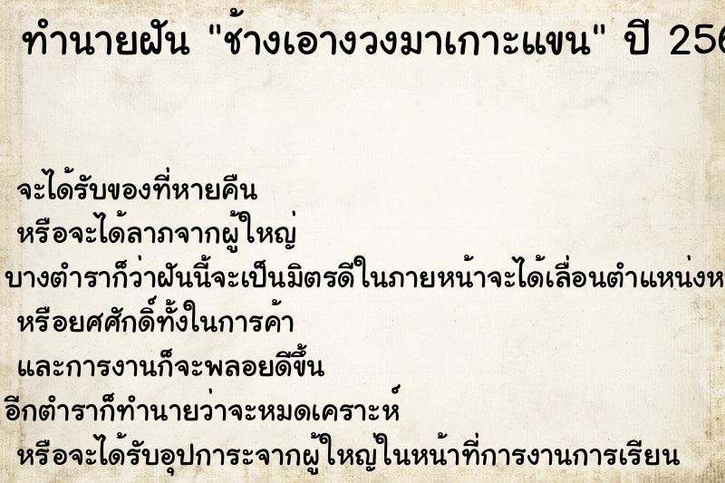 ทำนายฝัน ช้างเอางวงมาเกาะแขน