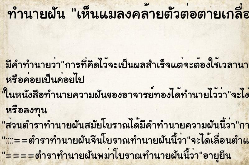 ทำนายฝันเห็นแมลงคล้ายตัวต่อตายเกลื่อนหน้าบ้าน ทำนายฝันทำนายฝันเห็นแมลงคล้ายตัวต่อตายเกลื่อนหน้าบ้าน