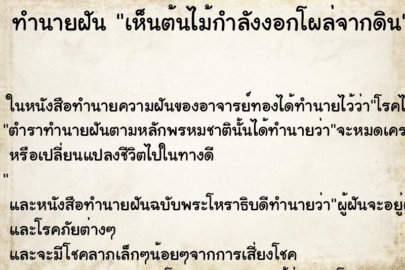 ทำนายฝันทำนายฝันเห็นต้นไม้กำลังงอกโผล่จากดิน