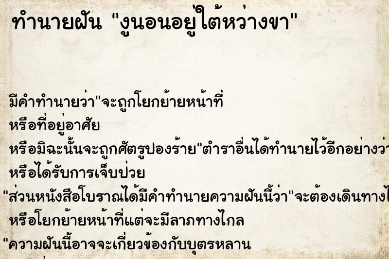 ทำนายฝันงูนอนอยู่ใต้หว่างขา ทำนายฝันทำนายฝันงูนอนอยู่ใต้หว่างขา