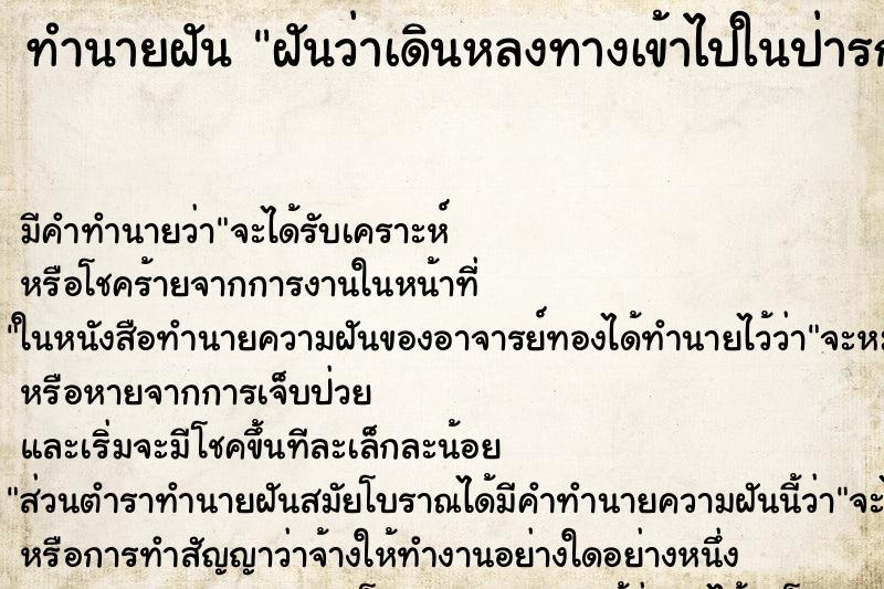 ทำนายฝัน ฝันว่าเดินหลงทางเข้าไปในป่ารก ทำนายฝัน ฝันว่าเดินหลงทางเข้าไปในป่ารก