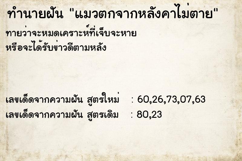ทำนายฝันทำนายฝันแมวตกจากหลังคาไม่ตาย