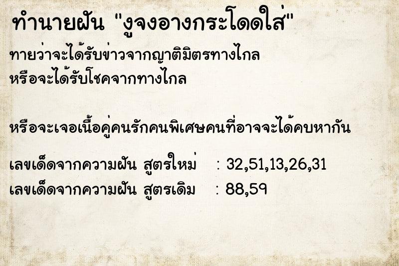 ทำนายฝันงูจงอางกระโดดใส่ ทำนายฝันทำนายฝันงูจงอางกระโดดใส่