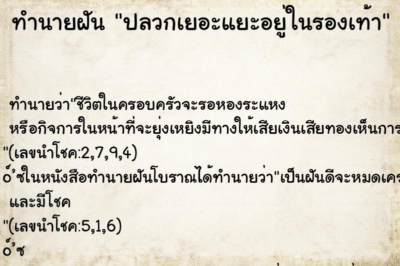 ทำนายฝันทำนายฝันปลวกเยอะแยะอยู่ในรองเท้า