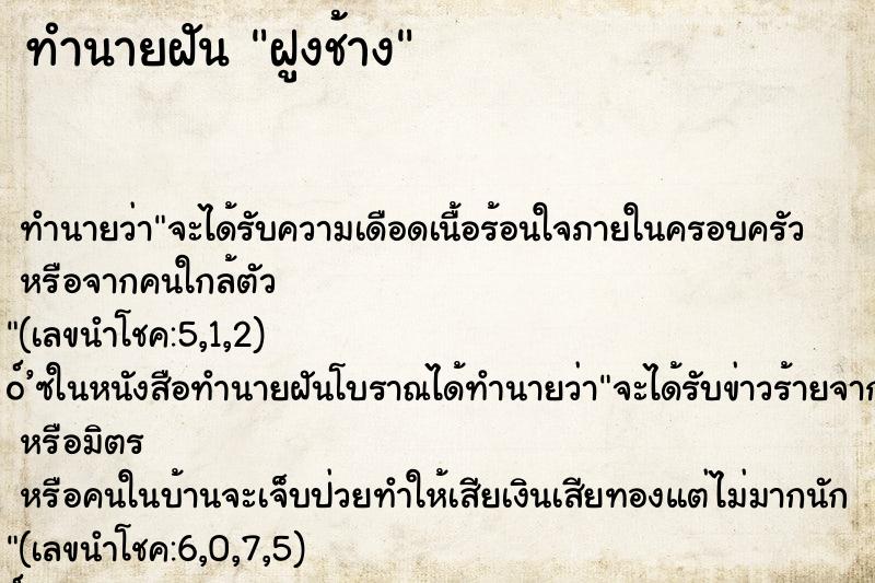 ทำนายฝัน ฝูงช้าง