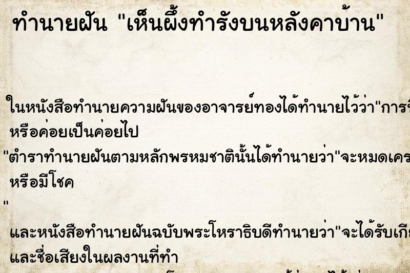 ทำนายฝันเห็นผึ้งทำรังบนหลังคาบ้าน ทำนายฝันทำนายฝันเห็นผึ้งทำรังบนหลังคาบ้าน
