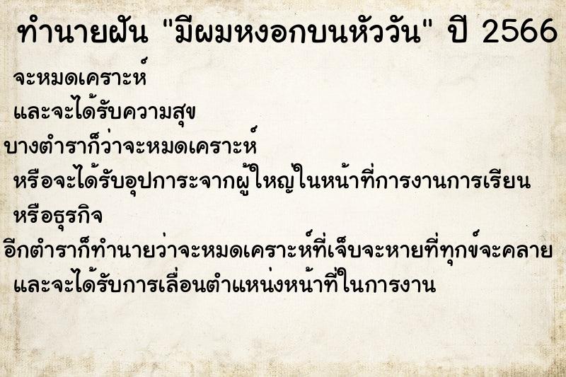 ทำนายฝันทำนายฝันมีผมหงอกบนหัววัน