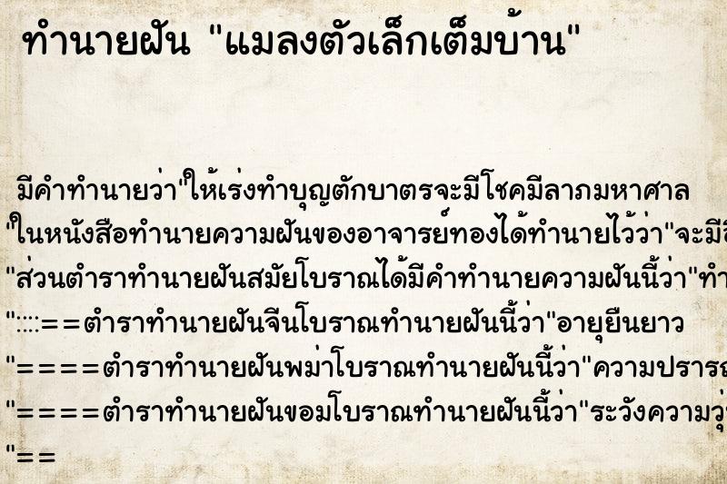 ทำนายฝัน แมลงตัวเล็กเต็มบ้าน ทำนายฝัน แมลงตัวเล็กเต็มบ้าน