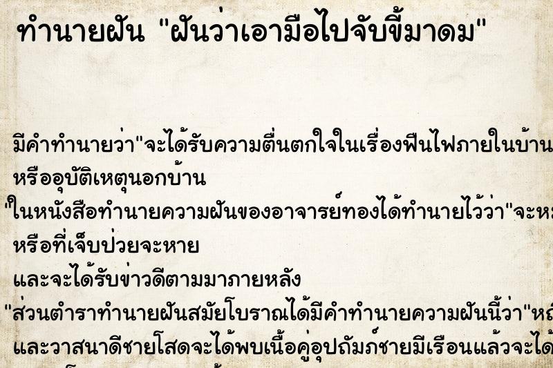 ทำนายฝันฝันว่าเอามือไปจับขี้มาดม ทำนายฝันทำนายฝันฝันว่าเอามือไปจับขี้มาดม