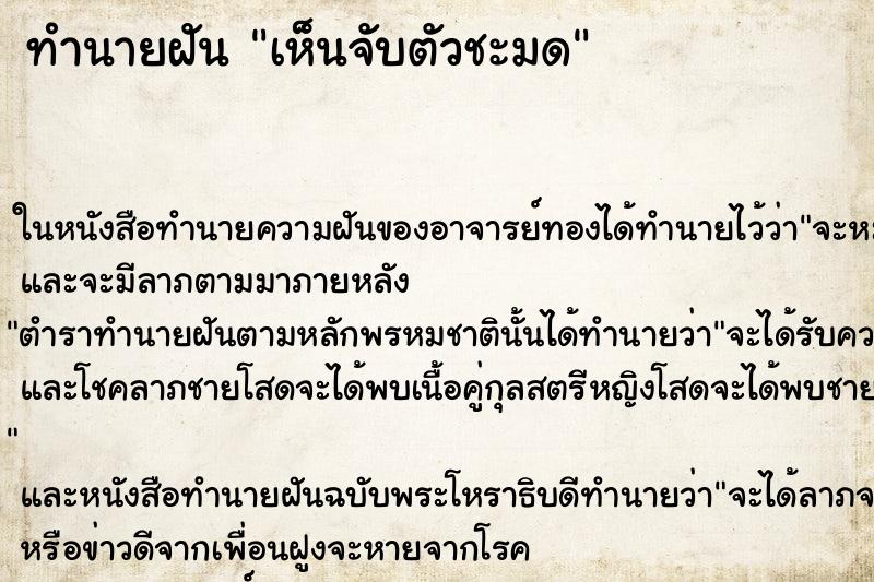 ทำนายฝัน เห็นจับตัวชะมด ทำนายฝัน เห็นจับตัวชะมด