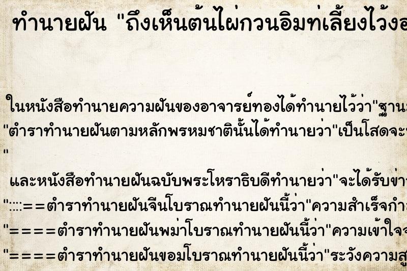 ทำนายฝัน ถึงเห็นต้นไผ่กวนอิมท่เลี้ยงไว้งอกงามดี ทำนายฝัน ถึงเห็นต้นไผ่กวนอิมท่เลี้ยงไว้งอกงามดี