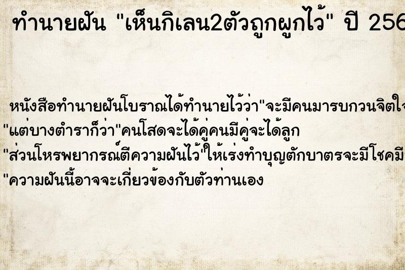 ทำนายฝันเห็นกิเลน2ตัวถูกผูกไว้ ทำนายฝันทำนายฝันเห็นกิเลน2ตัวถูกผูกไว้
