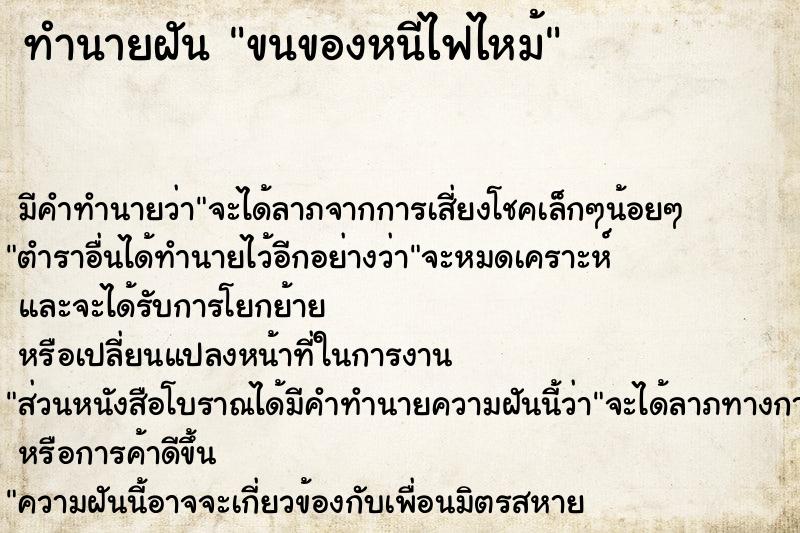 ทำนายฝัน ขนของหนีไฟไหม้ ตำราโบราณ แม่นที่สุดในโลก