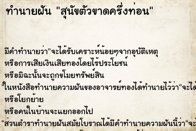 ทำนายฝัน สุนัขตัวขาดครึ่งท่อน ทำนายฝัน สุนัขตัวขาดครึ่งท่อน