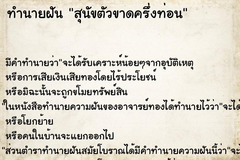 ทำนายฝัน สุนัขตัวขาดครึ่งท่อน ตำราโบราณ แม่นที่สุดในโลก