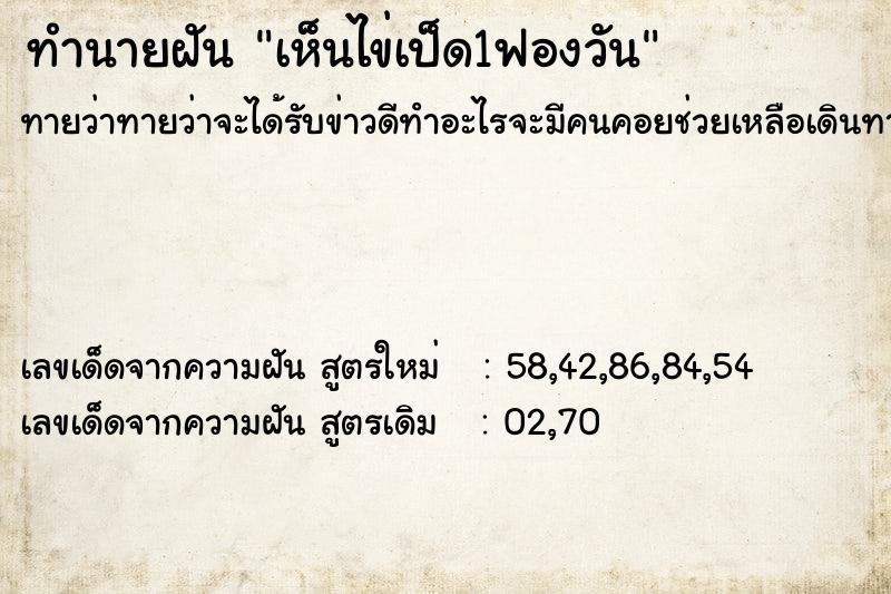 ทำนายฝันเห็นไข่เป็ด1ฟองวัน ทำนายฝันทำนายฝันเห็นไข่เป็ด1ฟองวัน