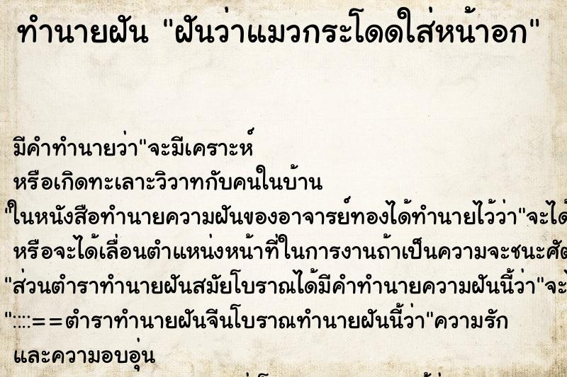 ทำนายฝัน ฝันว่าแมวกระโดดใส่หน้าอก ทำนายฝัน ฝันว่าแมวกระโดดใส่หน้าอก