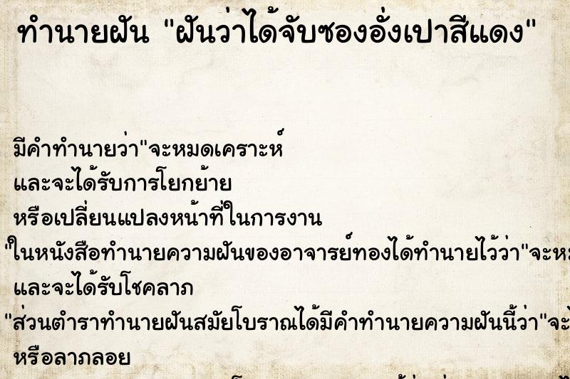 ทำนายฝัน ฝันว่าได้จับซองอั่งเปาสีแดง ทำนายฝัน ฝันว่าได้จับซองอั่งเปาสีแดง
