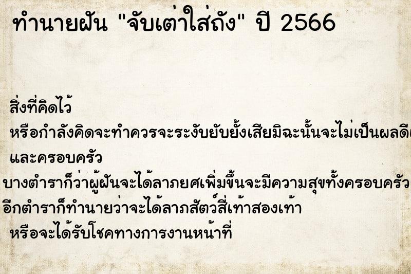 ทำนายฝันทำนายฝันจับเต่าใส่ถัง