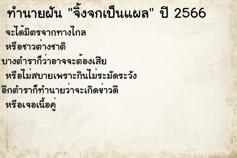 ทำนายฝันทำนายฝันจิ้งจกเป็นแผล