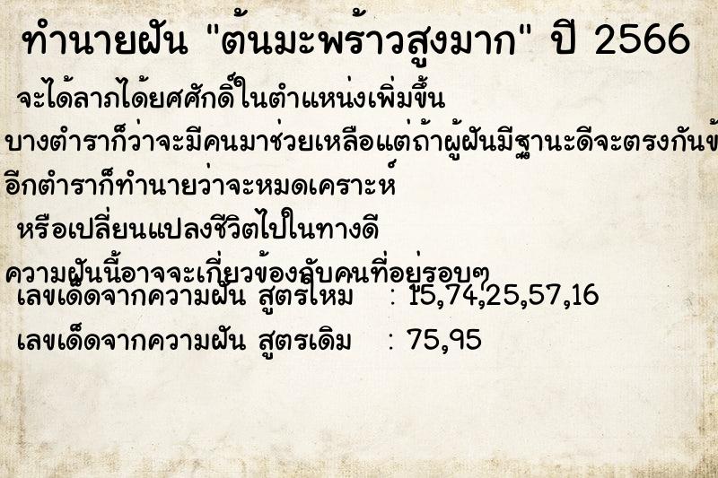 ทำนายฝัน ต้นมะพร้าวสูงมาก ทำนายฝัน ต้นมะพร้าวสูงมาก