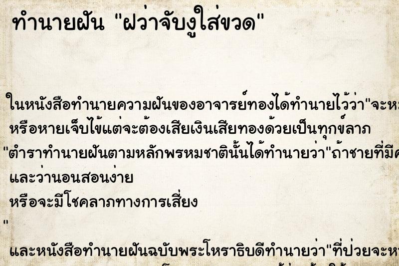 ทำนายฝัน ฝว่าจับงูใส่ขวด