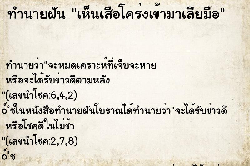 ทำนายฝันเห็นเสือโคร่งเข้ามาเลียมือ ทำนายฝันทำนายฝันเห็นเสือโคร่งเข้ามาเลียมือ