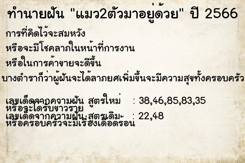 ทำนายฝัน แมว2ตัวมาอยู่ด้วย ทำนายฝัน แมว2ตัวมาอยู่ด้วย