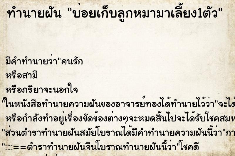 ทำนายฝัน บ่อยเก็บลูกหมามาเลี้ยง1ตัว ทำนายฝัน บ่อยเก็บลูกหมามาเลี้ยง1ตัว