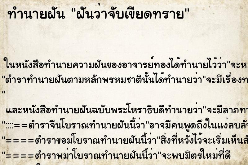 ทำนายฝันฝันว่าจับเขียดทราย ทำนายฝันทำนายฝันฝันว่าจับเขียดทราย