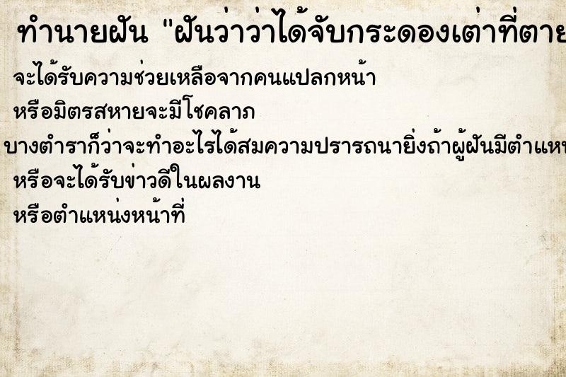 ทำนายฝัน ฝันว่าว่าได้จับกระดองเต่าที่ตายแล้ว ทำนายฝัน ฝันว่าว่าได้จับกระดองเต่าที่ตายแล้ว