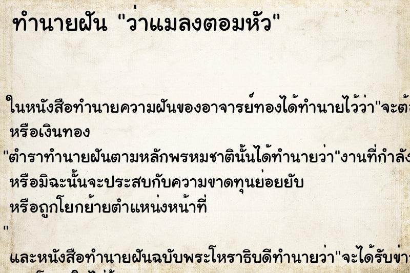 ทำนายฝัน ว่าแมลงตอมหัว ทำนายฝัน ว่าแมลงตอมหัว