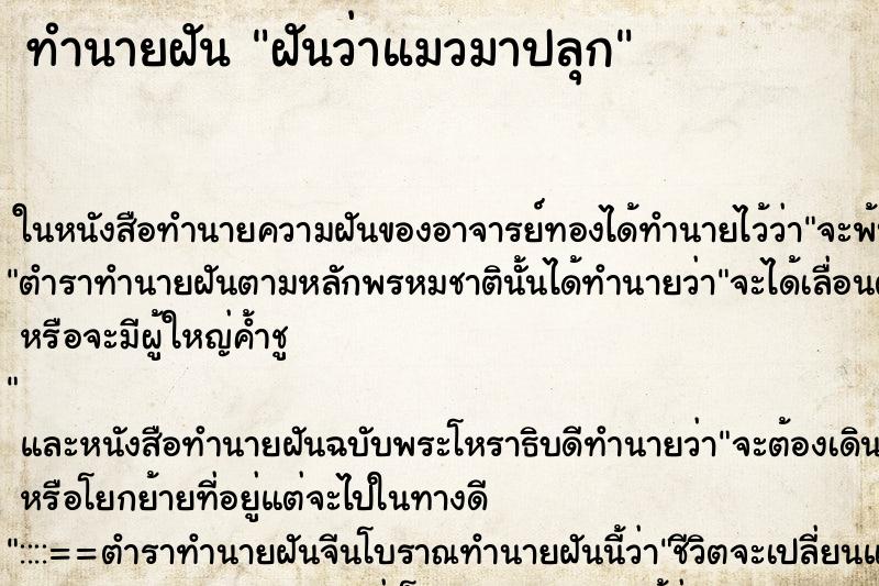 ทำนายฝันฝันว่าแมวมาปลุก ทำนายฝันทำนายฝันฝันว่าแมวมาปลุก