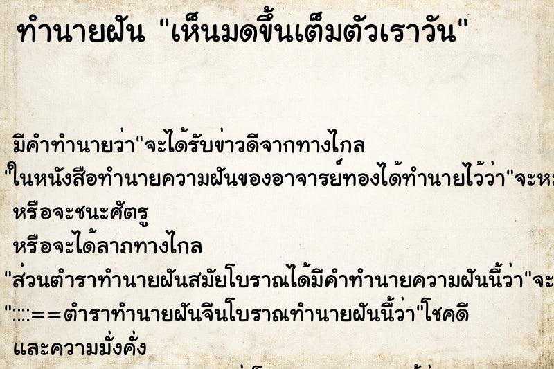 ทำนายฝัน เห็นมดขึ้นเต็มตัวเราวัน ทำนายฝัน เห็นมดขึ้นเต็มตัวเราวัน