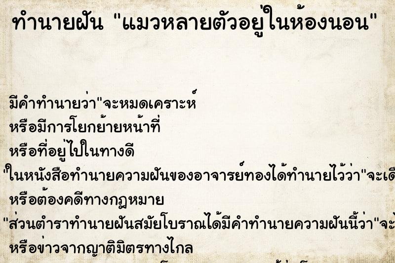 ทำนายฝัน แมวหลายตัวอยู่ในห้องนอน ทำนายฝัน แมวหลายตัวอยู่ในห้องนอน