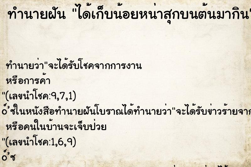 ทำนายฝัน ได้เก็บน้อยหน่าสุกบนต้นมากิน ทำนายฝัน ได้เก็บน้อยหน่าสุกบนต้นมากิน
