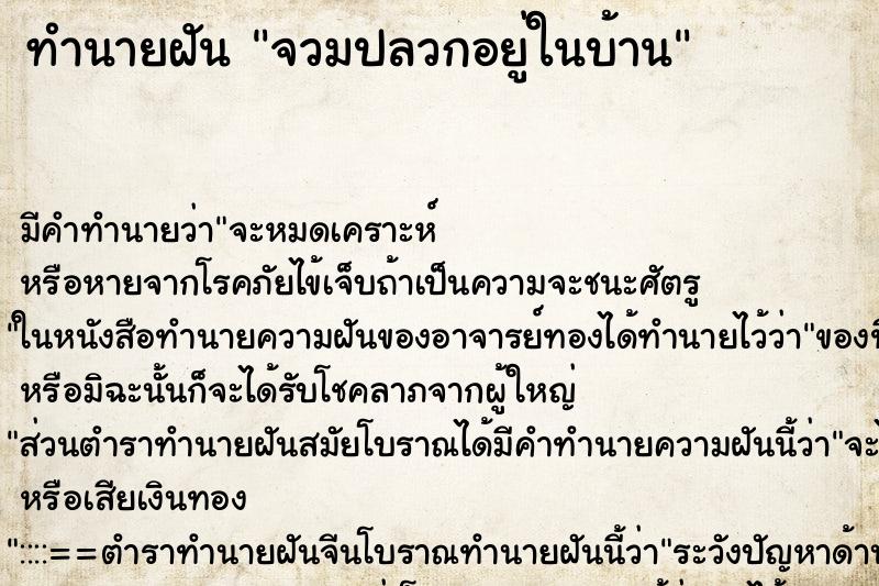 ทำนายฝันจวมปลวกอยู่ในบ้าน ทำนายฝันทำนายฝันจวมปลวกอยู่ในบ้าน