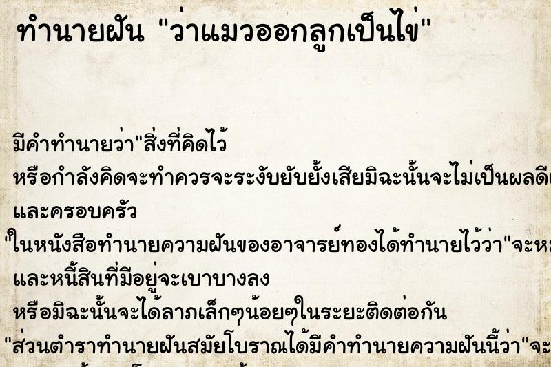 ทำนายฝัน ว่าแมวออกลูกเป็นไข่ ทำนายฝัน ว่าแมวออกลูกเป็นไข่