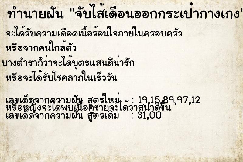 ทำนายฝันจับไส้เดือนออกกระเป๋ากางเกง ทำนายฝันทำนายฝันจับไส้เดือนออกกระเป๋ากางเกง