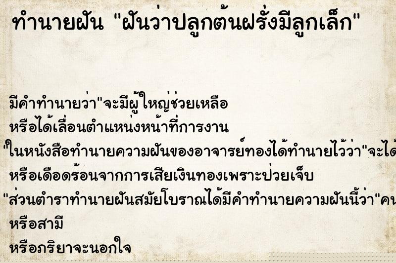 ทำนายฝันฝันว่าปลูกต้นฝรั่งมีลูกเล็ก ทำนายฝันทำนายฝันฝันว่าปลูกต้นฝรั่งมีลูกเล็ก